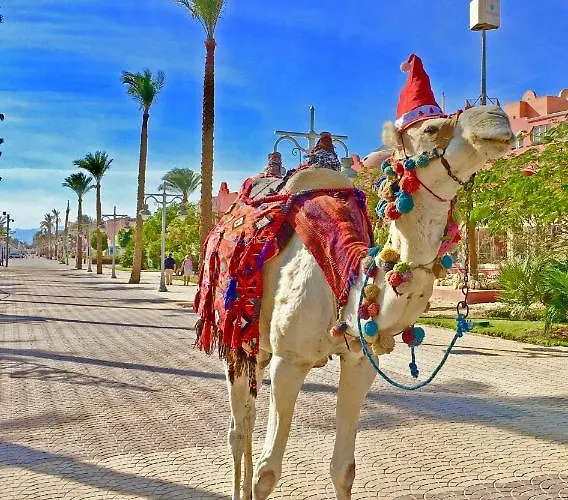 Villages Road * Hurghada